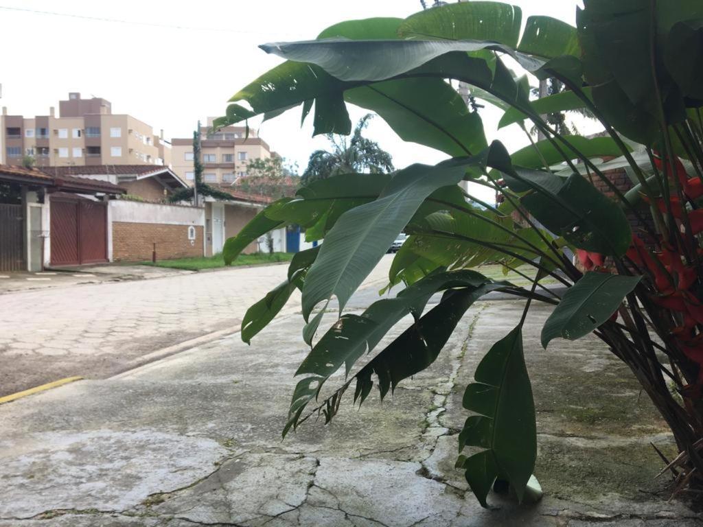 Efferus Hostel 乌巴图巴 外观 照片